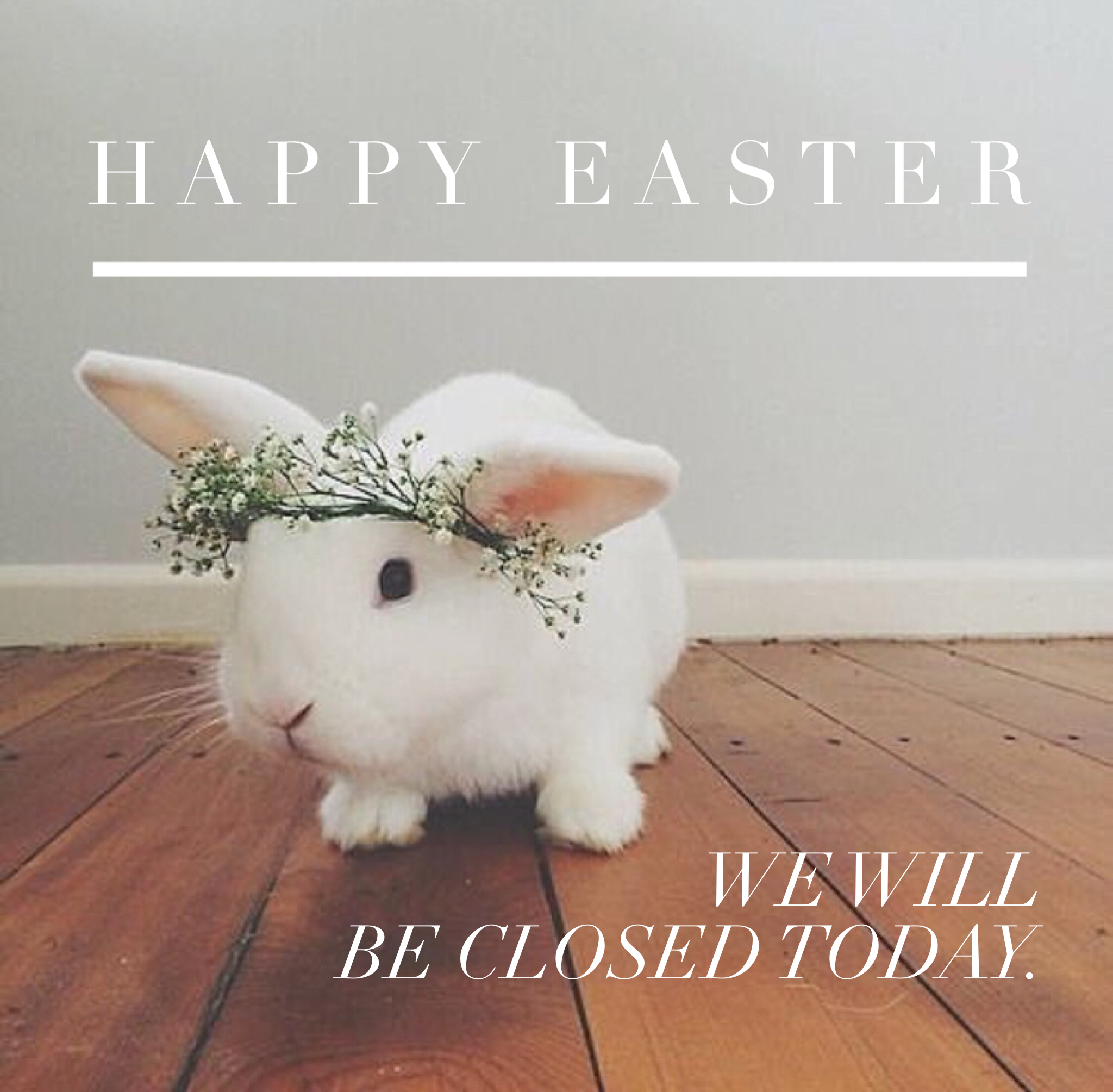 EasterBunny3